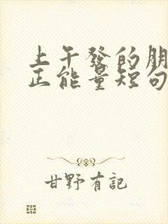 上午发的朋友圈正能量短句文案