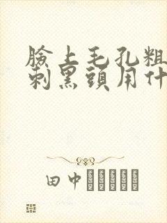 脸上毛孔粗大粉刺黑头用什么护肤品