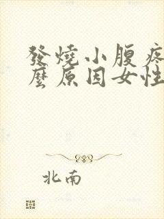 发烧小腹疼痛什么原因女性封面