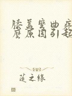 膝盖弯曲疼痛什么原因引起的