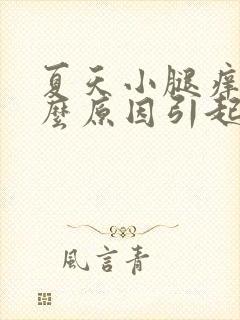 夏天小腿痒是什么原因引起的