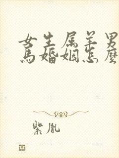 女生属羊男生属马婚姻怎么样