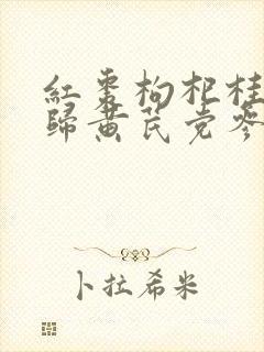 红枣枸杞桂圆当归黄芪党参泡水喝的功效