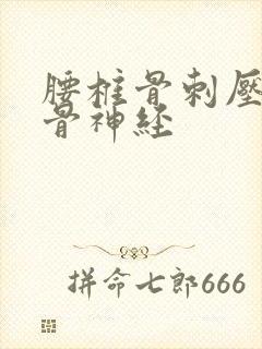 腰椎骨刺压迫坐骨神经