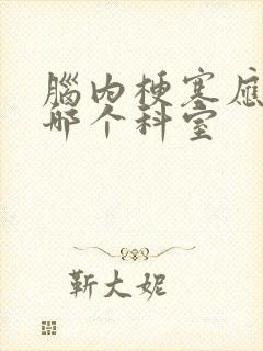 脑内梗塞应该挂哪个科室