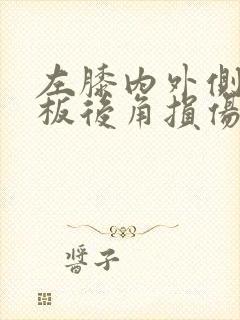 左膝内外侧半月板后角损伤