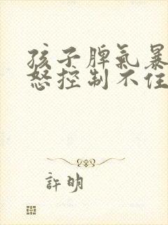 孩子脾气暴躁易怒控制不住情绪