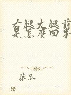 右腿大腿前侧疼是怎么回事封面