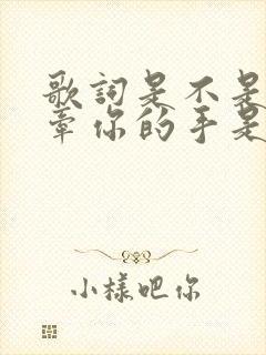 歌词是不是可以牵你的手是什么歌封面
