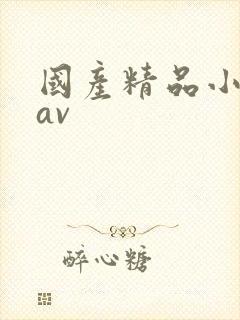 国产精品小美女av