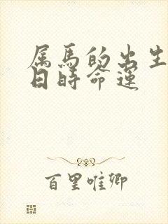 属马的出生年月日时命运封面
