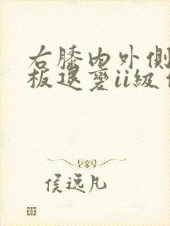 右膝内外侧半月板退变ii级信号