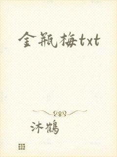 金瓶梅txt封面