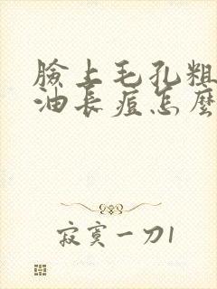 脸上毛孔粗大出油长痘怎么办