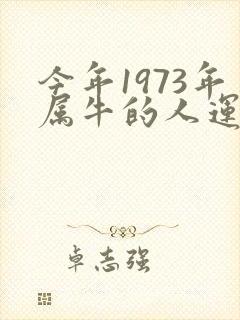 今年1973年属牛的人运气怎么样封面