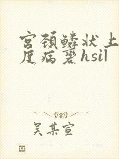 宫颈鳞状上皮高度病变hsil