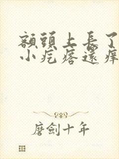 额头上长了好多小疙瘩还痒怎么回事