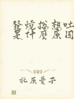 发烧总想吐恶心是什么原因
