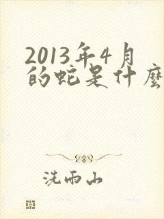 2013年4月的蛇是什么命