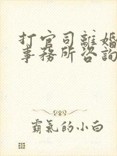 打官司离婚律师事务所咨询