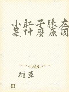 小肚子胀左侧疼是什么原因女性封面