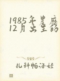1985年农历12月出生的命