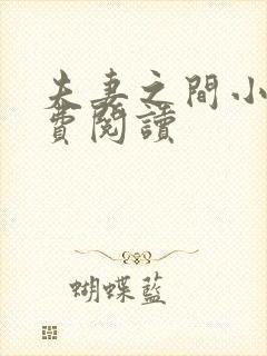 夫妻之间小说免费阅读