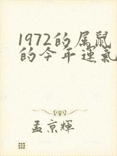 1972的属鼠的今年运气如何