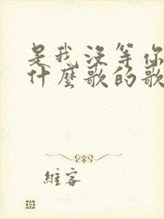 是我没等你吗是什么歌的歌词封面