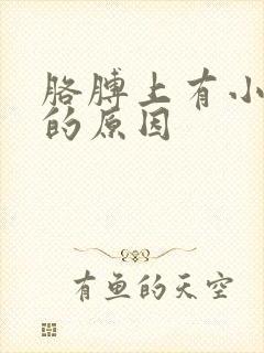 胳膊上有小块癣的原因