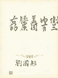 右膝盖内侧疼痛的原因有三种