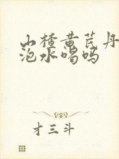 山楂黄芪丹参能泡水喝吗