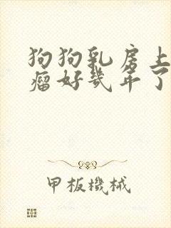 狗狗乳房上有个瘤好几年了
