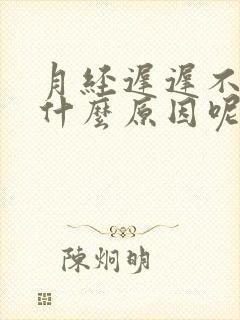 月经迟迟不来是什么原因呢