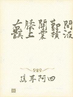 右膝关节间隙及髌上囊积液
