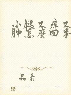 小腿又痒又疼又肿怎么回事