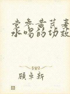 党参黄芪麦冬泡水喝的功效