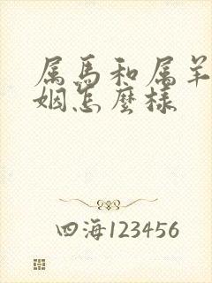 属马和属羊的婚姻怎么样