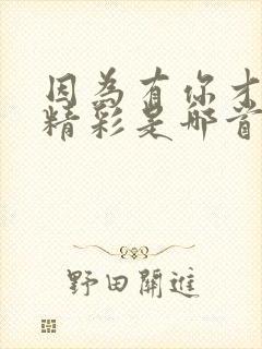因为有你才变得精彩是哪首歌的歌词