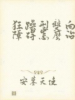 狂躁型双向情感障碍怎么治封面