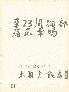 孕23周胸部胀痛正常吗