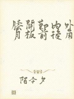 膝关节内外侧半月板前后角损伤2度