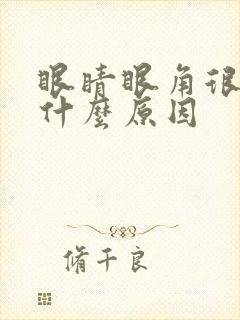 眼睛眼角很痒是什么原因