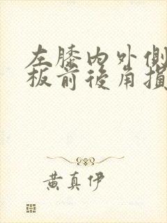 左膝内外侧半月板前后角损伤2级