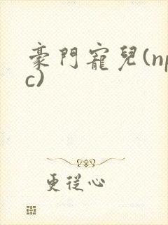 豪门宠儿(npc)