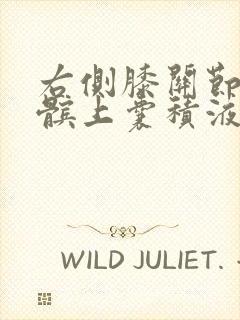 右侧膝关节腔及髌上囊积液