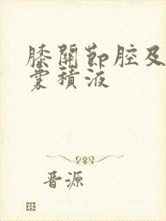 膝关节腔及髌上囊积液