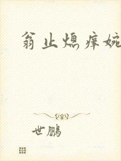 翁止熄痒婉燕封面