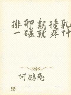 排卵期后乳头痛一碰就疼什么原因造成的