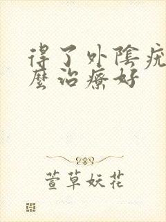得了外阴疣湿怎么治疗好